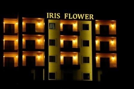 Iris Flower Hotel Jezzîne Exterior photo