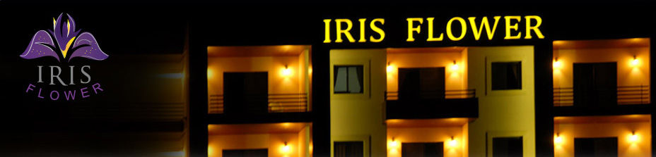 Iris Flower Hotel Jezzîne Exterior photo